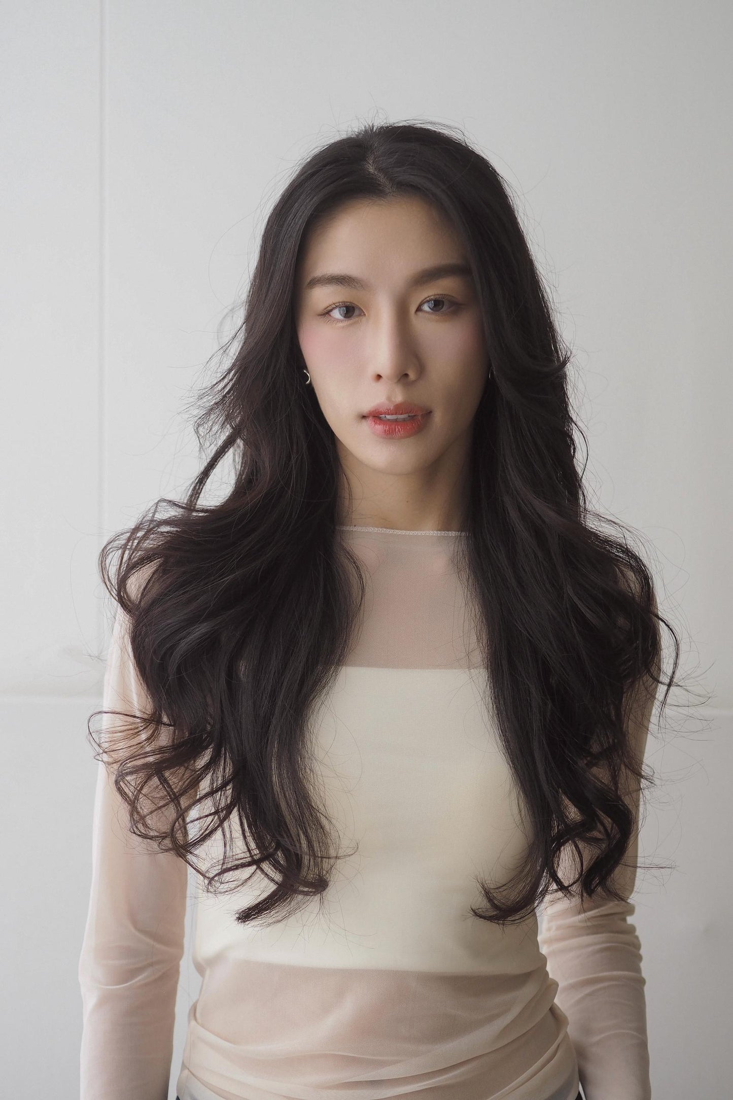 Long Sleeve Basic Chiffon Top