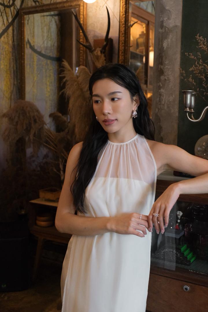 Sheer One-Piece Dress