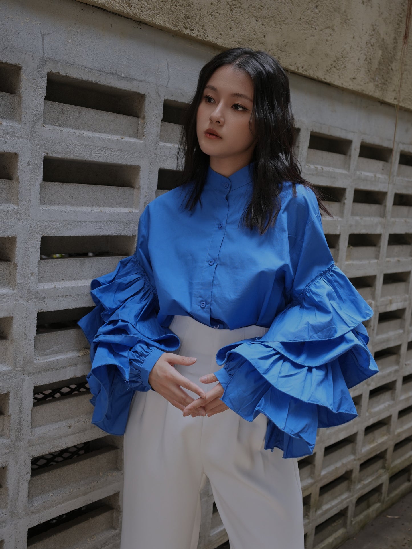 Ruffle Trim Flounce Sleeve Shirt